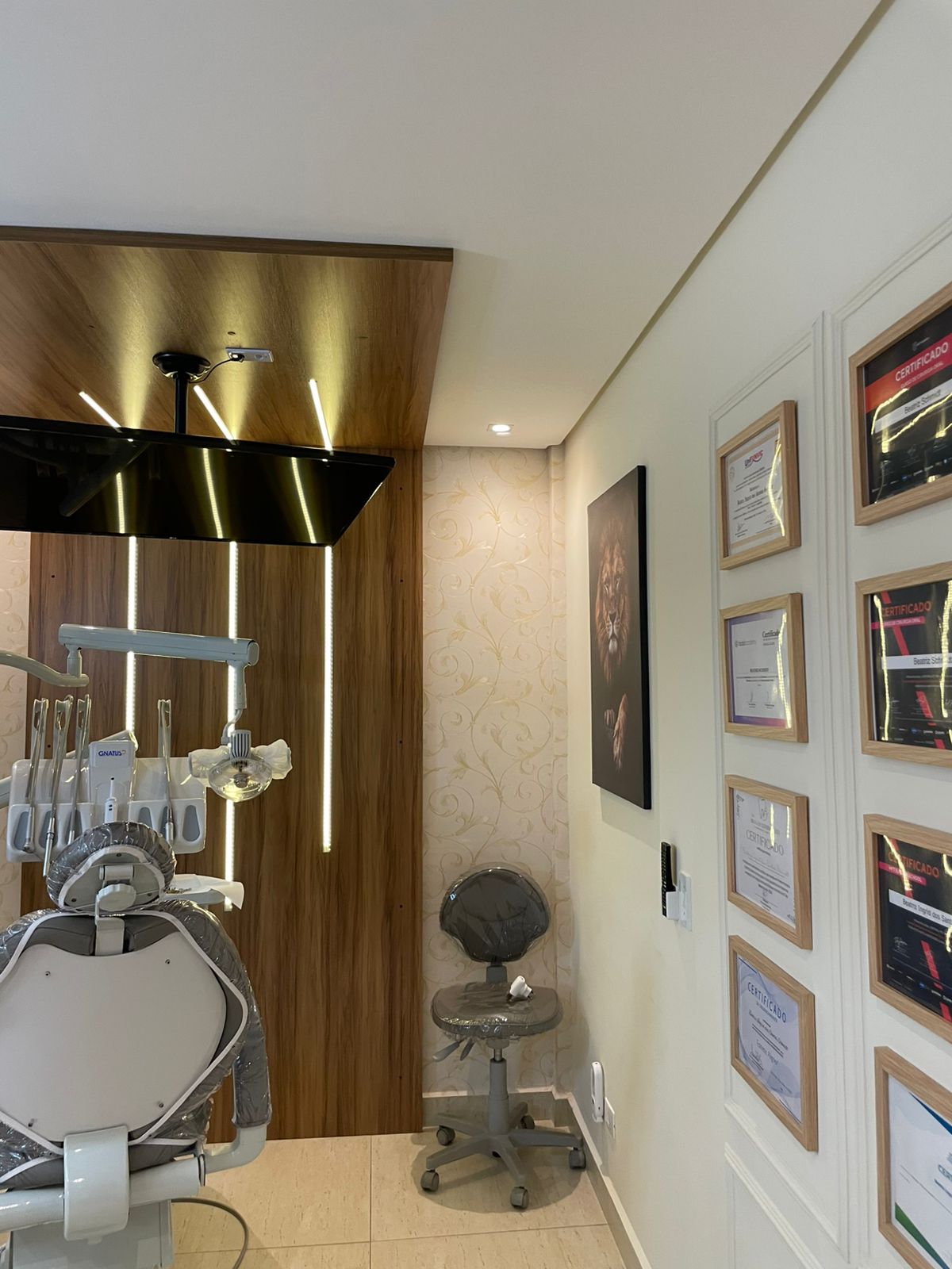 Estrutura clínica elegante e bem resolvida | Dra. Beatriz Schmidt em Campos do Jordão