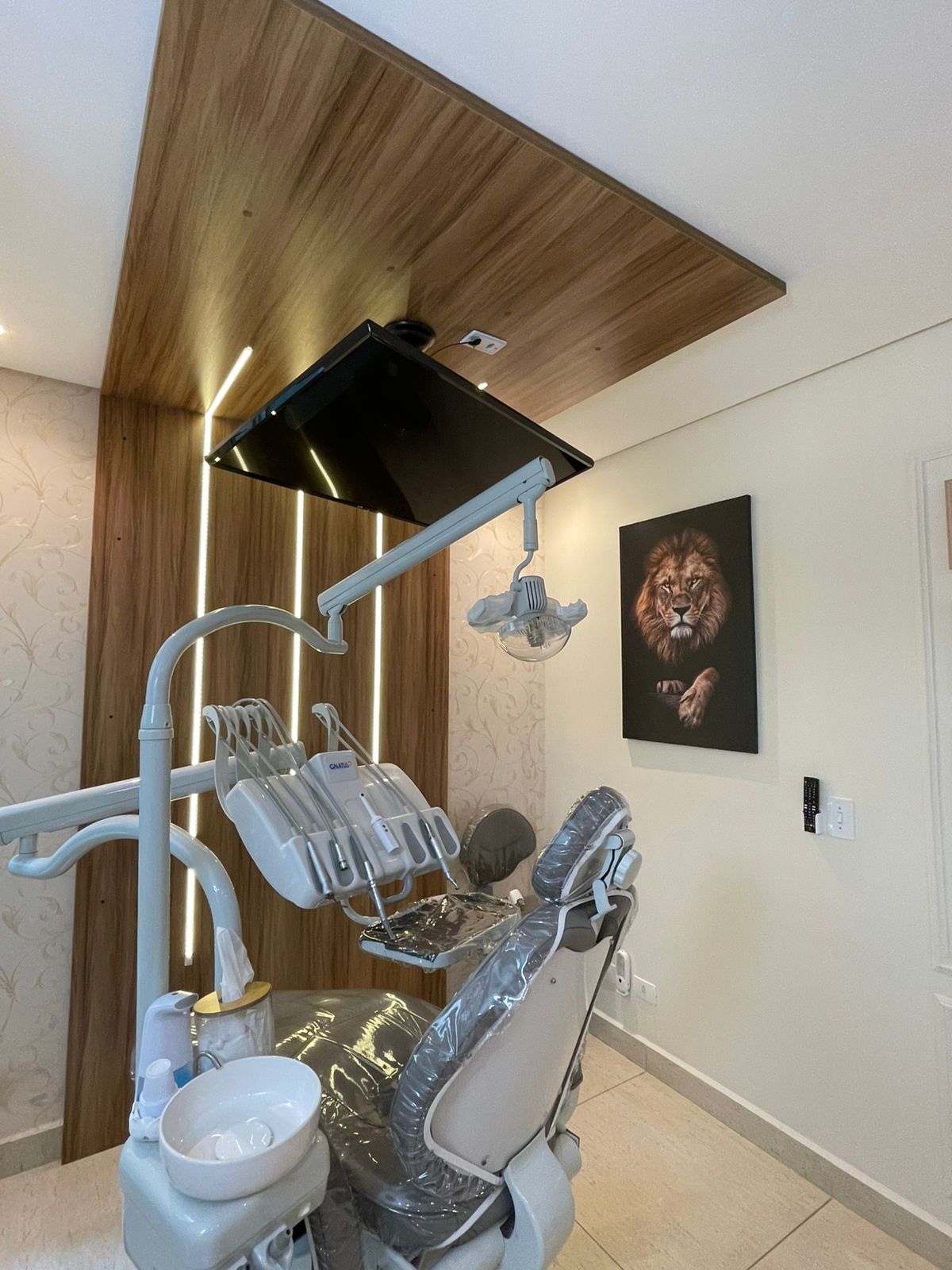 TV no teto no consultório da Dra. Beatriz Schmidt em Campos do Jordão